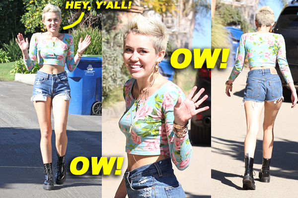 Miley Cyrus Flaunts Her Toned Abs In Floral Crop Top
