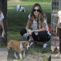 Melissa Satta Fully Clothed Walking Her Dog In The Park