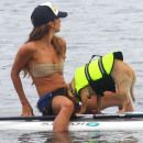 Leilani Dowding Takes Her Dog Paddle Boarding In Malibu