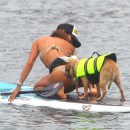 Leilani Dowding Takes Her Dog Paddle Boarding In Malibu