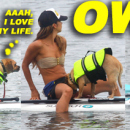 Leilani Dowding Takes Her Dog Paddle Boarding In Malibu