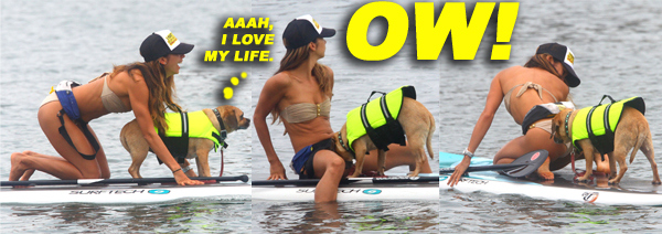 Leilani Dowding Takes Her Dog Paddle Boarding In Malibu