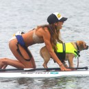 Leilani Dowding Takes Her Dog Paddle Boarding In Malibu