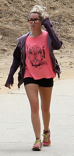 Ashley Tisdale goes on a hike with fiance