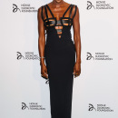 2013 Novak Djokovic Benefit Dinner