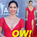 Olivia Munn at 49th Annual Academy of Country Music Awards