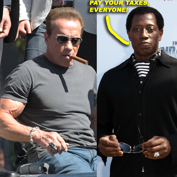  Arnold Schwarzenegger and Wesley Snipes